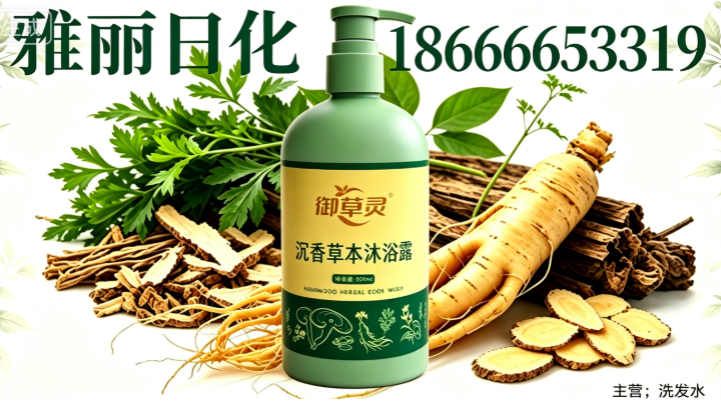 雅丽日化汕头线上分站